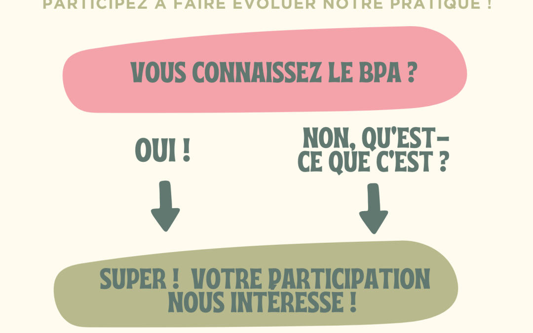 Mémoire de fin d&rsquo;études BPA